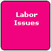 Labor Issues